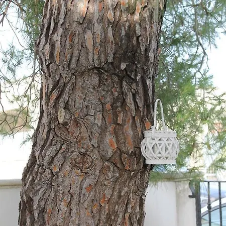 Salento Roots Apartment Porto Cesareo Exterior foto