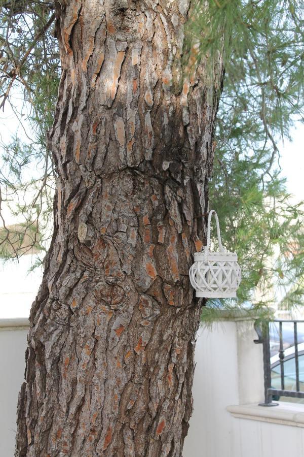 Salento Roots * Porto Cesareo